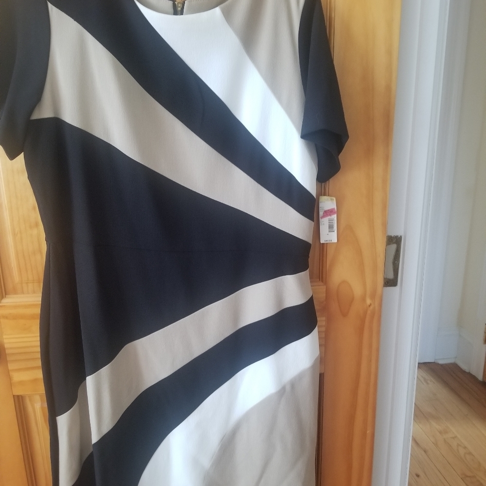 Sandra Darren Dress Black Tan and White Size 16